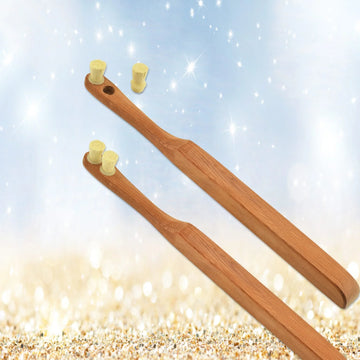 Toothwak Tandenborstel met 2 Miswak-borstels (hout)