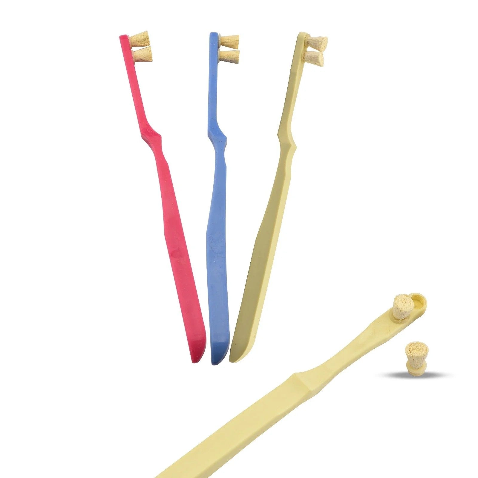 Toothwak Tandenborstel met 2 Miswak-borstels (budgetversie)